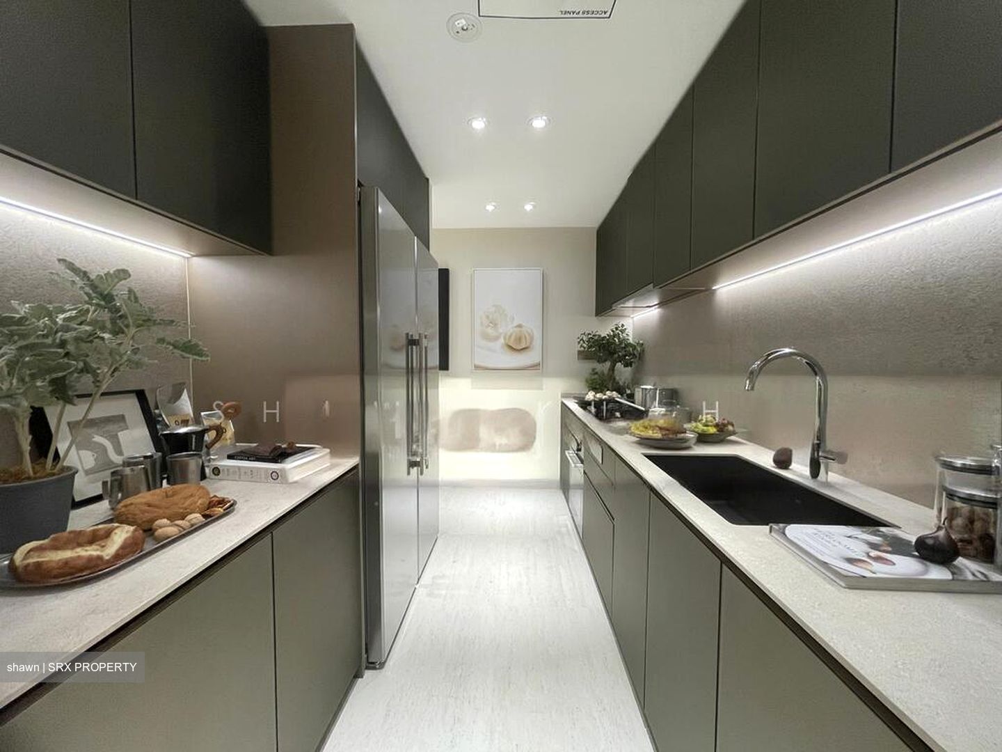 Wallich Street (D2), Condominium #536520461